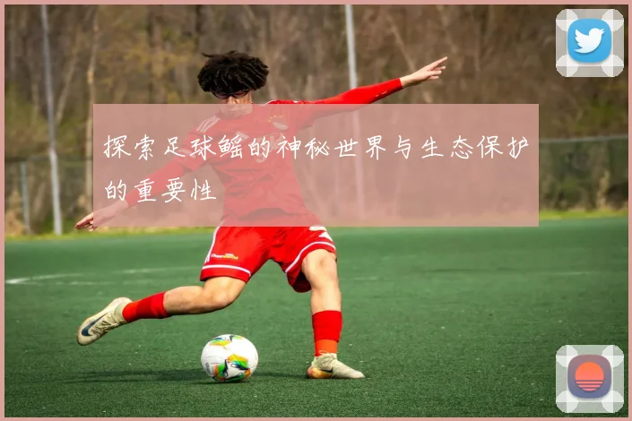 探索足球鳐的神秘世界与生态保护的重要性